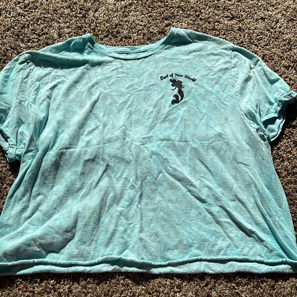 Disney areal crop top